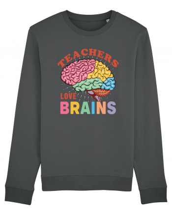 Teachers Love Brains Anthracite