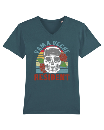 Resident Vama Veche Stargazer