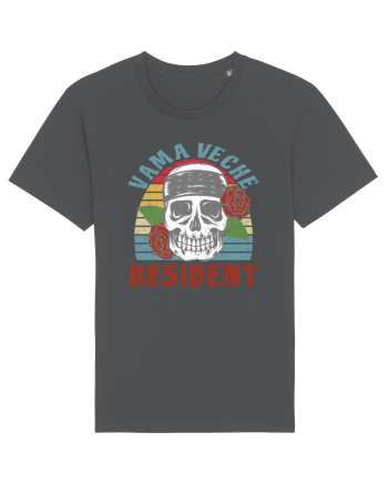 Resident Vama Veche Anthracite