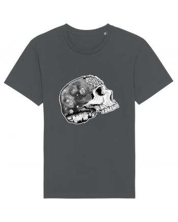 Skull Anthracite