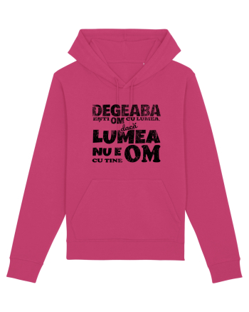 Degeaba esti Om cu Lumea, daca Lumea nu e Om cu Tine Raspberry