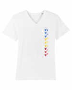 Romania Tricou mânecă scurtă guler V Bărbat Presenter
