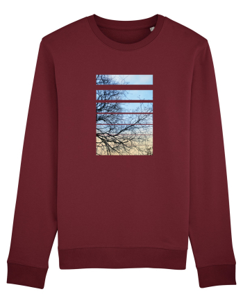 Piese de pe Cer Burgundy