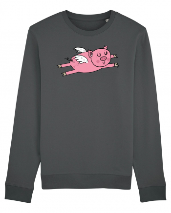 Flying Pig Anthracite