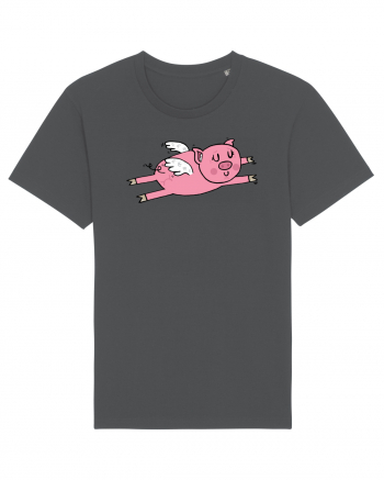 Flying Pig Anthracite