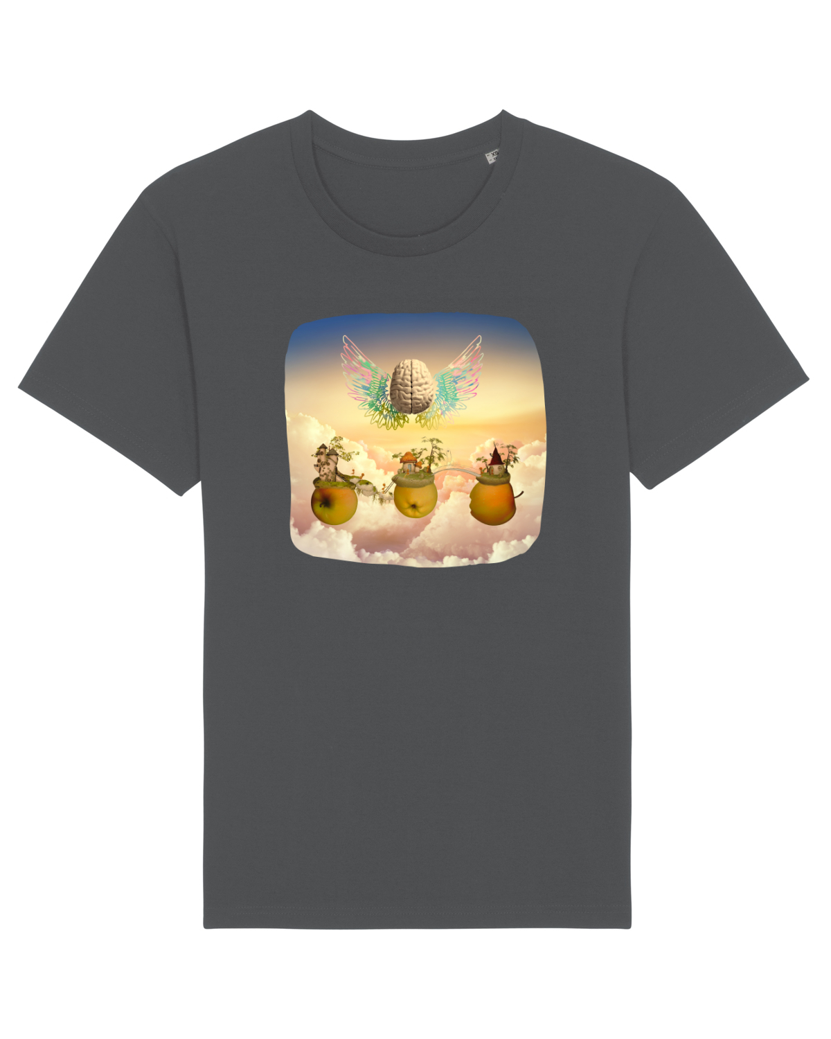 Tricou mânecă scurtă Unisex Rocker Anthracite