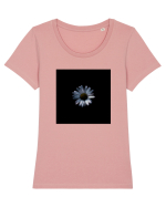 Dark Margaret Tricou mânecă scurtă guler larg fitted Damă Expresser