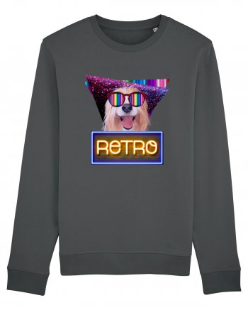 Retro disco dog Anthracite