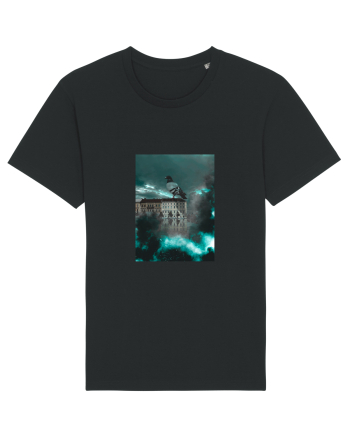 Pigeon Black