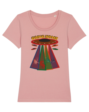 Petru Iubitori de UFO Extraterestri Si Dinozauri Canyon Pink