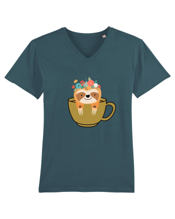 Pentru iubitorii de cafea  Stargazer