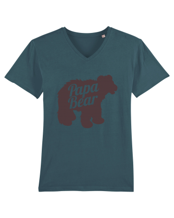 Papa Bear Stargazer