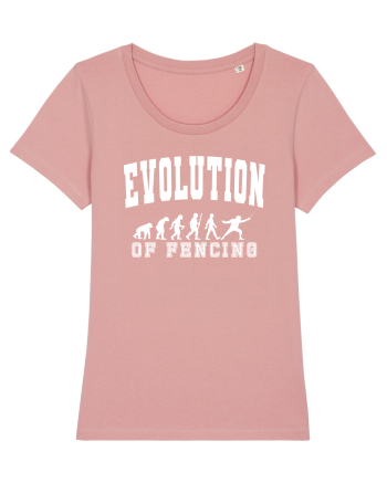 Evolution Of Fencing Canyon Pink
