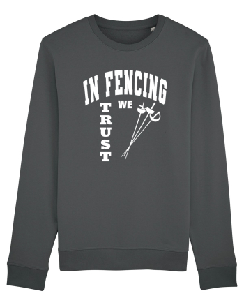 In Fencing We Trust Anthracite