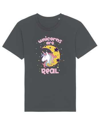 Unicorns Are Real Anthracite