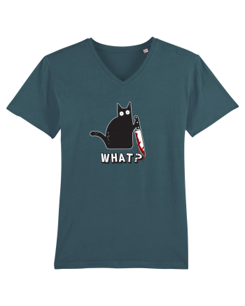 Crazy Killer Cat  Stargazer