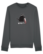 Crazy Killer Cat  Bluză mânecă lungă Unisex Rise