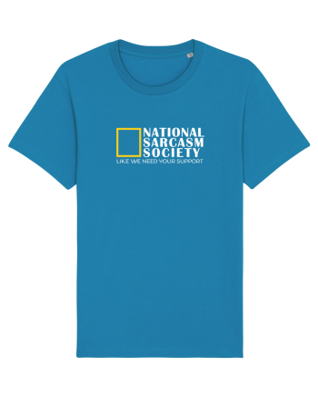 National Sarcasm  Society Azur