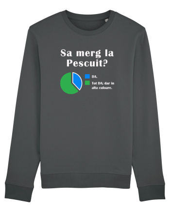 Sa merg la PESCUIT Anthracite