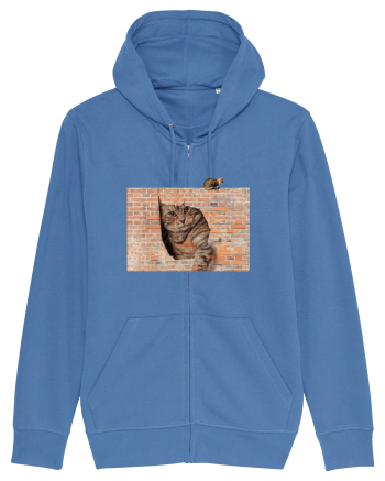 Cats on walls  Bright Blue