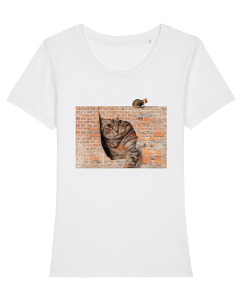 Cats on walls  White