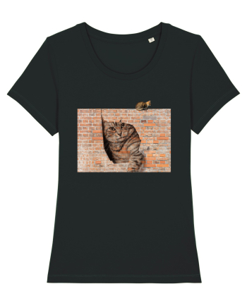 Cats on walls  Black