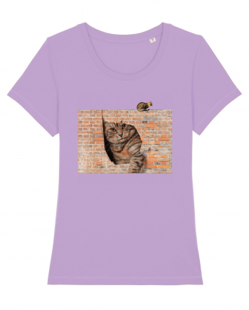 Cats on walls  Lavender Dawn