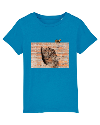 Cats on walls  Azur