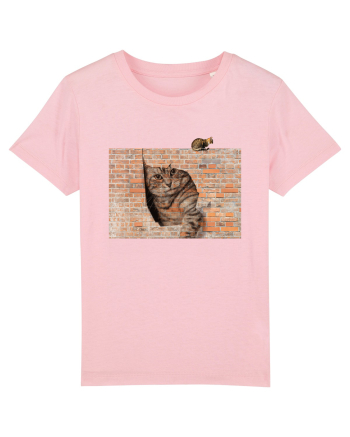 Cats on walls  Cotton Pink