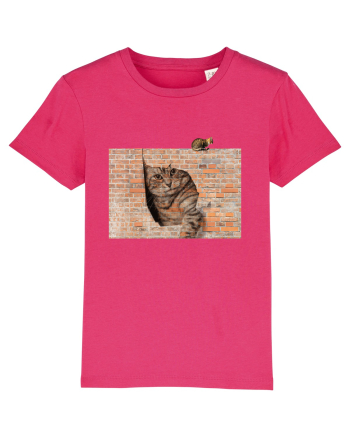 Cats on walls  Raspberry
