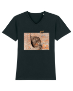 Cats on walls  Tricou mânecă scurtă guler V Bărbat Presenter