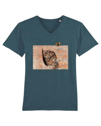 Cats on walls  Stargazer