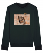 Cats on walls  Bluză mânecă lungă Unisex Rise