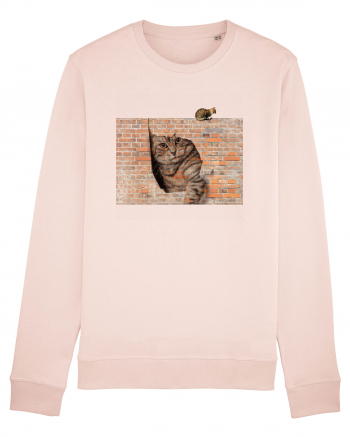 Cats on walls  Candy Pink