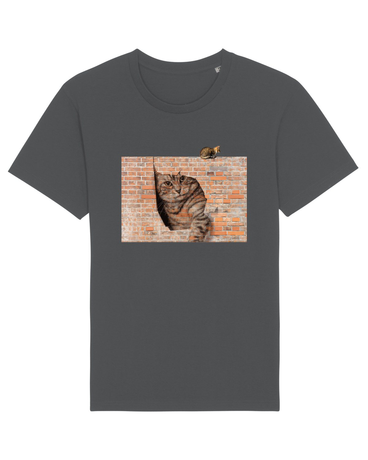 Tricou mânecă scurtă Unisex Rocker Anthracite