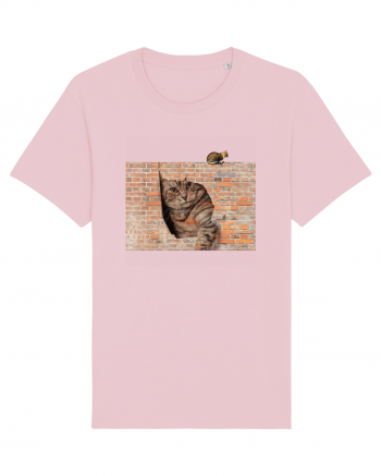Cats on walls  Cotton Pink
