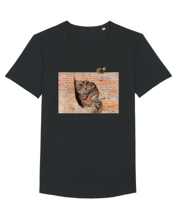 Cats on walls  Black
