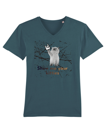 Show me your kitties Stargazer