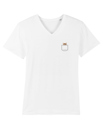 Pocket Kitten White