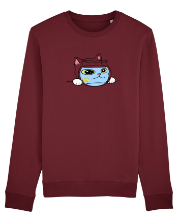 Pisica si acvariul Burgundy