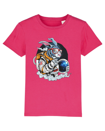 Astronaut Rabbit Raspberry