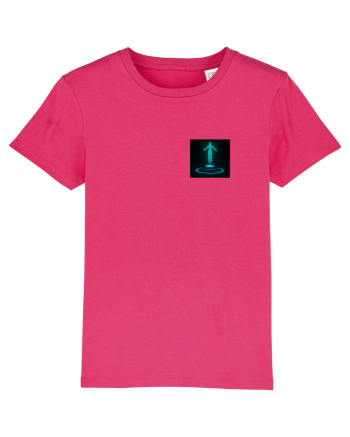 Holograma Raspberry