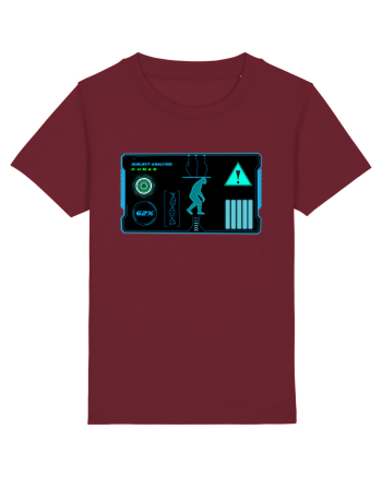Holograma HUD Burgundy