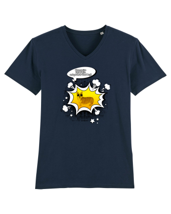 InCORGnito French Navy