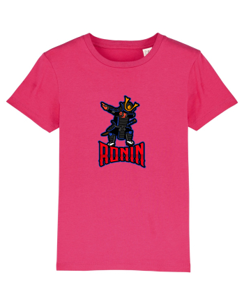 Samurai Ronin Raspberry