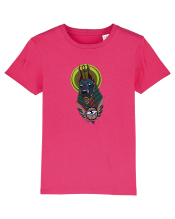 Anubis Raspberry