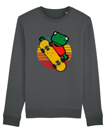 Broasca Pe Skateboard Anthracite