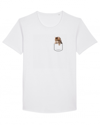 Pocket kitten 2  White