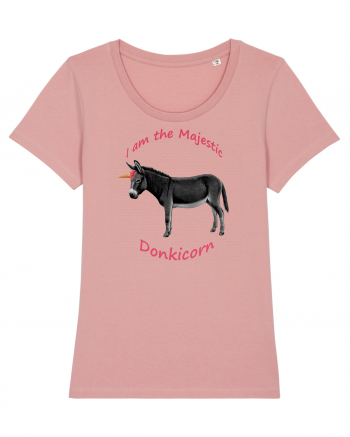 A Donkicorn Canyon Pink