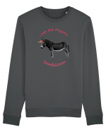 A Donkicorn Bluză mânecă lungă Unisex Rise